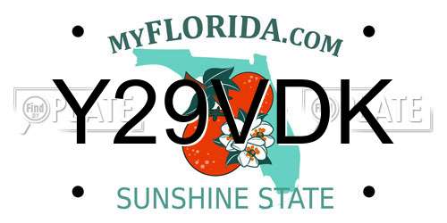 Y29VDK Florida License Plate