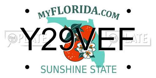 Y29VEF Florida License Plate