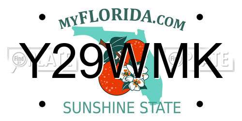 Y29WMK Florida License Plate