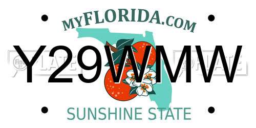 Y29WMW Florida License Plate