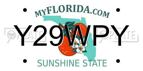 Y29WPY Florida License Plate