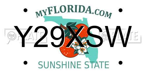 Y29XSW Florida License Plate