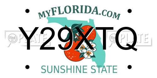 Y29XTQ Florida License Plate