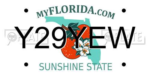 Y29YEW Florida License Plate