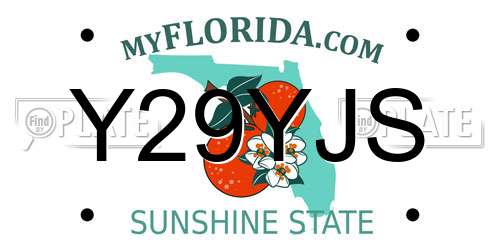 Y29YJS Florida License Plate