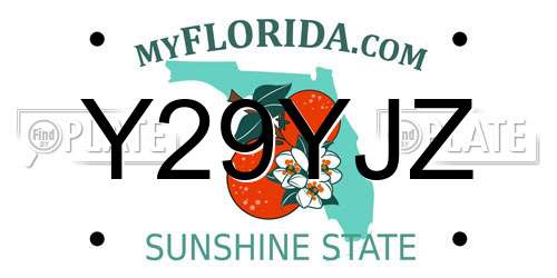 Y29YJZ Florida License Plate