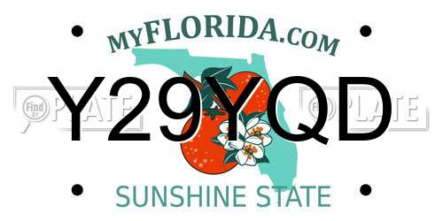 Y29YQD Florida License Plate