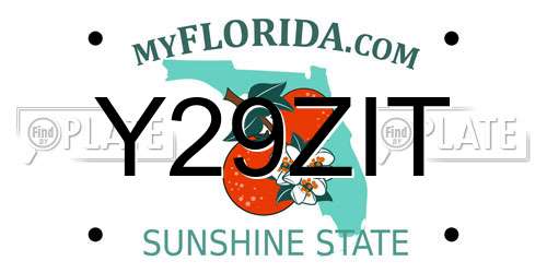 Y29ZIT Florida License Plate