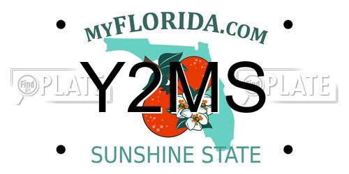 Y2MS Florida License Plate
