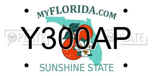 Y300AP Florida License Plate