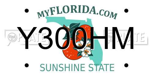 Y300HM Florida License Plate