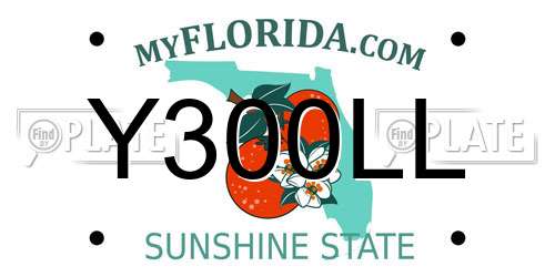 Y300LL Florida License Plate