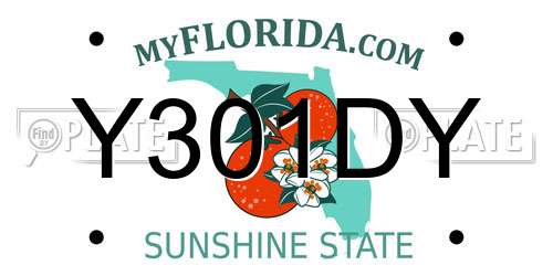 Y301DY Florida License Plate