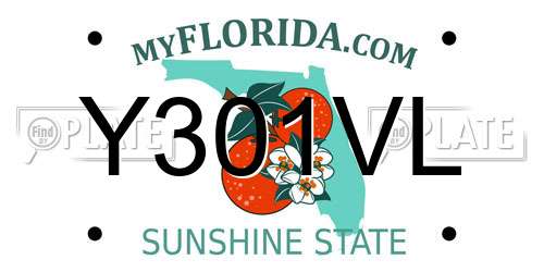 Y301VL Florida License Plate