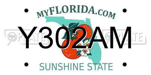 Y302AM Florida License Plate