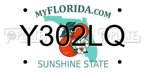 Y302LQ Florida License Plate