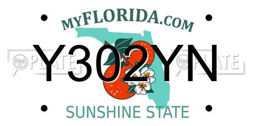 Y302YN Florida License Plate