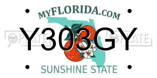 Y303GY Florida License Plate