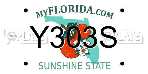 Y303S Florida License Plate