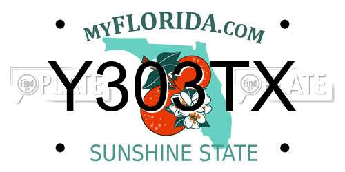 Y303TX Florida License Plate
