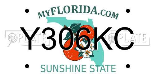 Y306KC Florida License Plate
