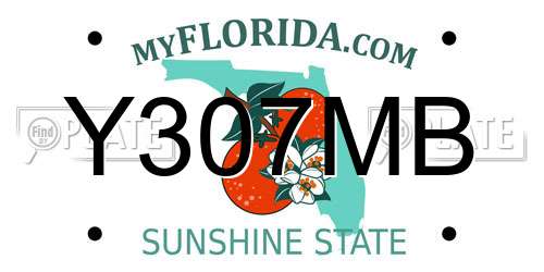 Y307MB Florida License Plate