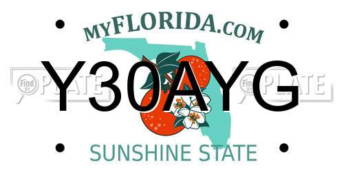Y30AYG Florida License Plate