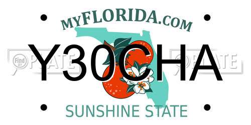 Y30CHA Florida License Plate
