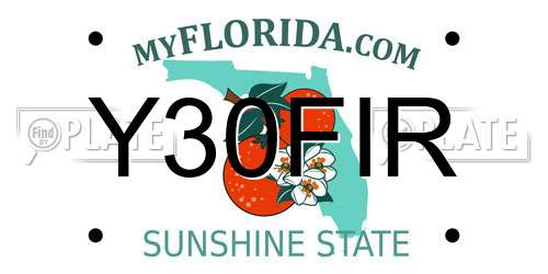 Y30FIR Florida License Plate