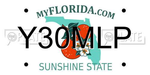Y30MLP Florida License Plate