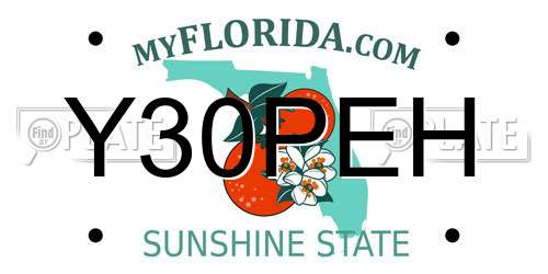 Y30PEH Florida License Plate