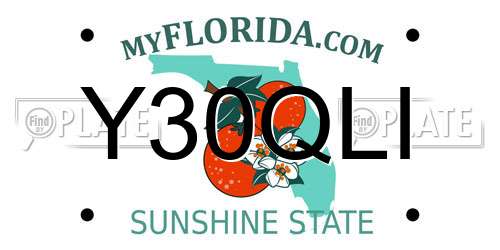Y30QLI Florida License Plate
