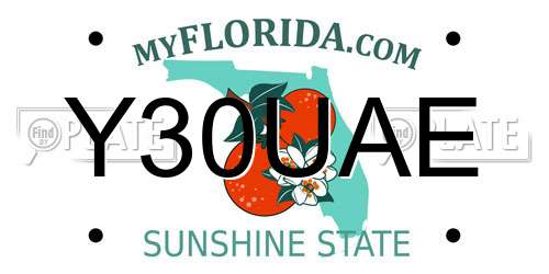 Y30UAE Florida License Plate