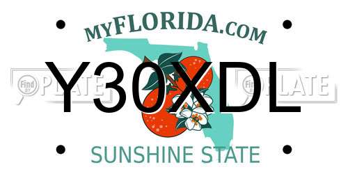 Y30XDL Florida License Plate