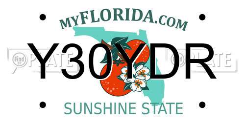 Y30YDR Florida License Plate