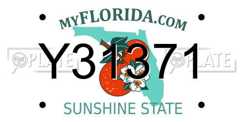 Y31371 Florida License Plate