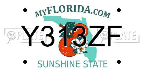 Y313ZF Florida License Plate
