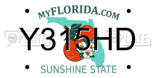 Y315HD Florida License Plate