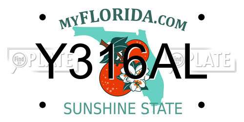 Y316AL Florida License Plate