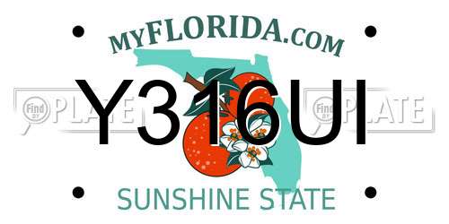 Y316UI Florida License Plate