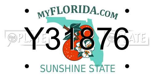 Y31876 Florida License Plate