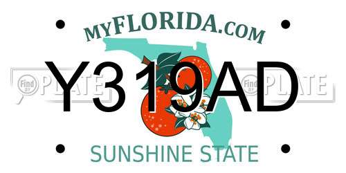 Y319AD Florida License Plate