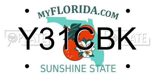 Y31CBK Florida License Plate