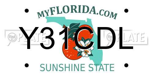 Y31CDL Florida License Plate