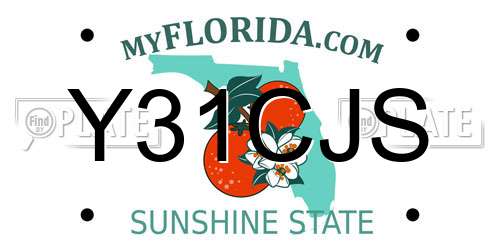 Y31CJS Florida License Plate