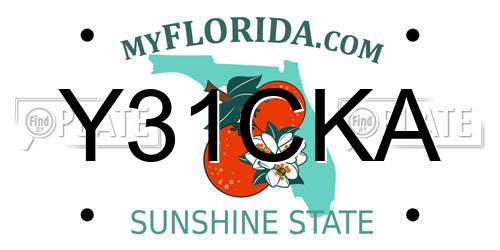Y31CKA Florida License Plate
