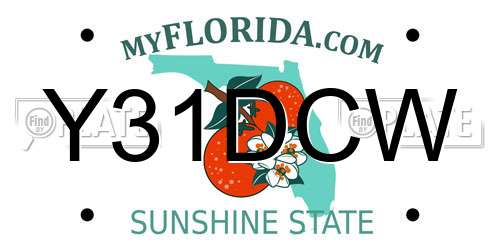 Y31DCW Florida License Plate