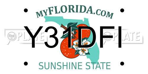 Y31DFI Florida License Plate