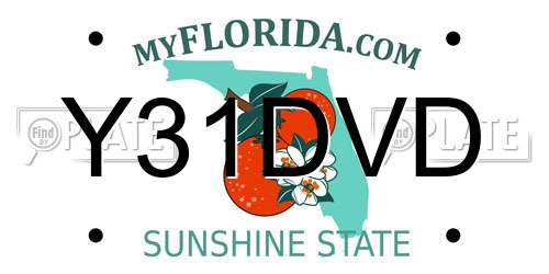 Y31DVD Florida License Plate