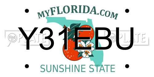 Y31EBU Florida License Plate